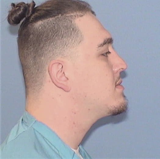 STEELE, TAYLOR A., Bureau County  IL