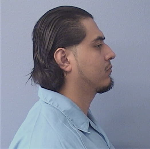 VIVEROS, ALFREDO, Cook County  IL