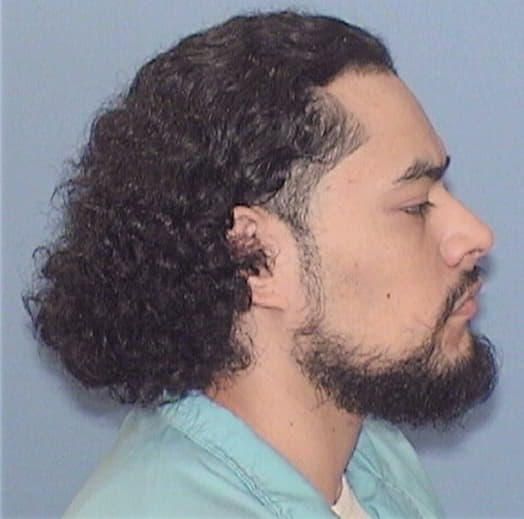 HERNANDEZ, MIGUEL, Kane County  IL