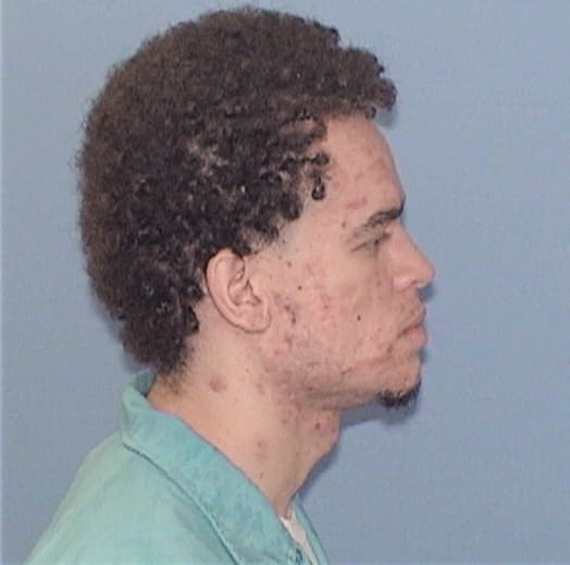 WILSON-NEULEIB, LAMAREE E., Rock Island County  IL
