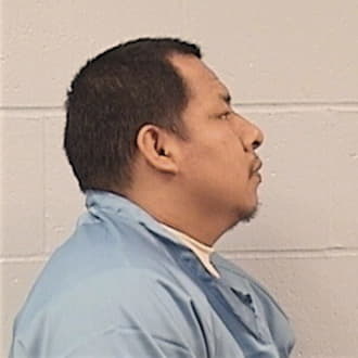 MEJIA-MAYA, BULMARO, Cook County  IL