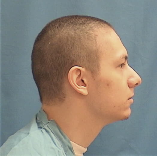 SHAW, JACOB R., Lee County  IL