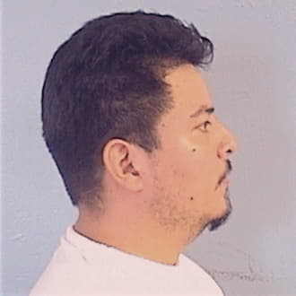 RODRIGUEZ SOLIS, VICENTE, Will County  IL