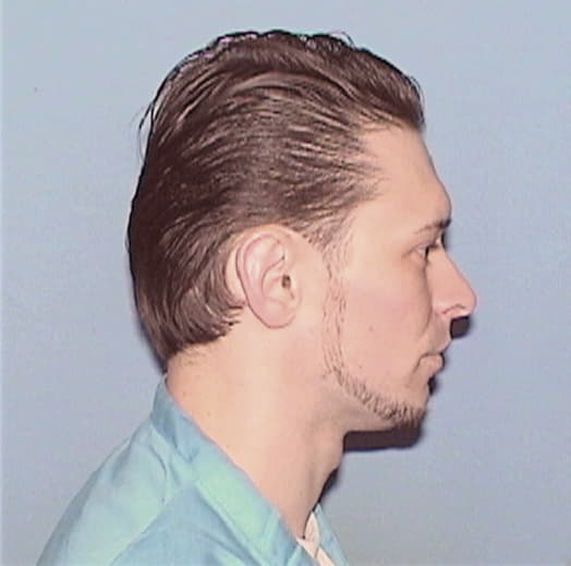 MICELI, DANIEL P., Bureau County  IL