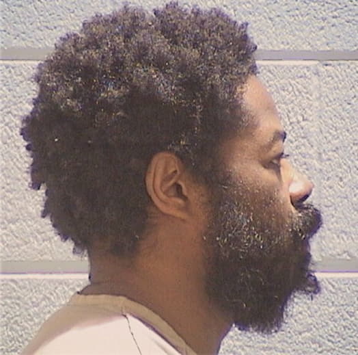 YOUNG, SHAWN, Cook County  IL