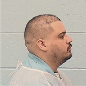 ORTIZ-OCTAVIO, GEOVANIE, Lake County  IL