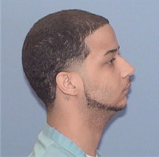 WILLIAMS, BRYCE, Cook County  IL