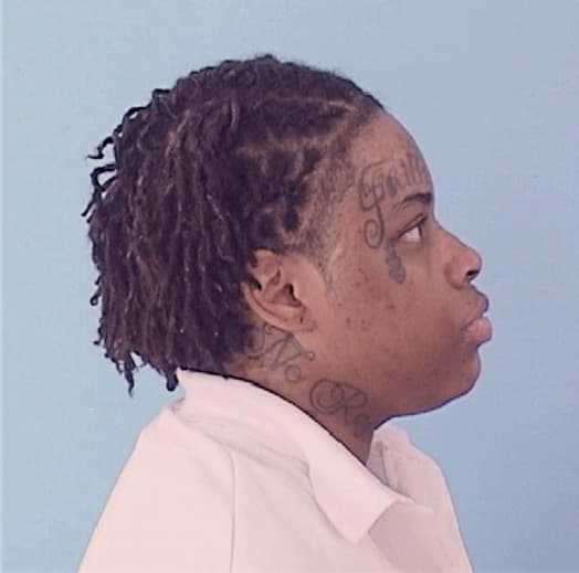 ANDERSON, TEKISHA, Cook County  IL