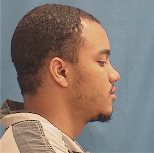 LEWIS, ROMEO, Cook County  IL