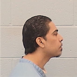 MALDONADO, FERNANDO, Kane County  IL