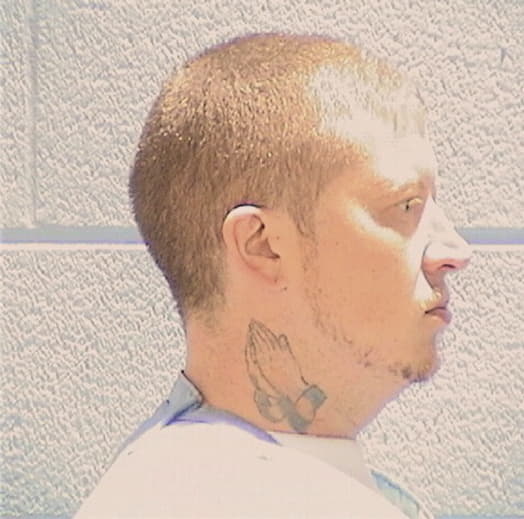 FLINT, ANTHONY A., Boone County  IL