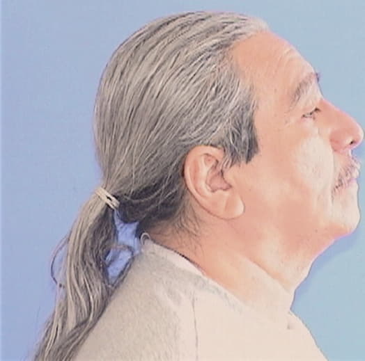 ARAUJO-GOMEZ, FIDEL A., Cook County  IL