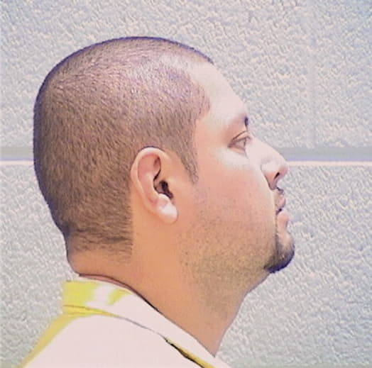 PANTOJA, DAVID, Cook County  IL