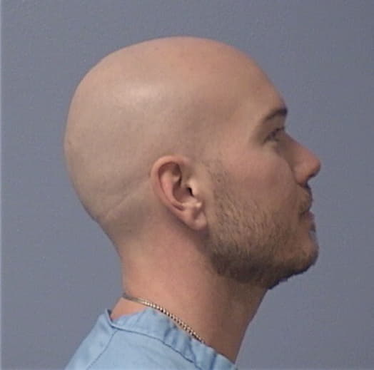 FARGHER, JOEL R., Whiteside County  IL