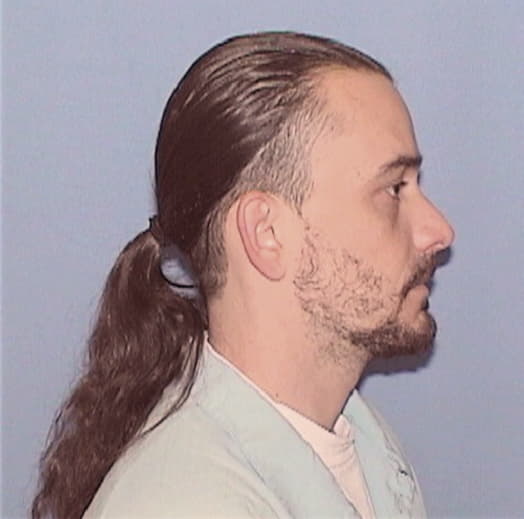 SWINBANK, JOSHUA W., Winnebago County  IL