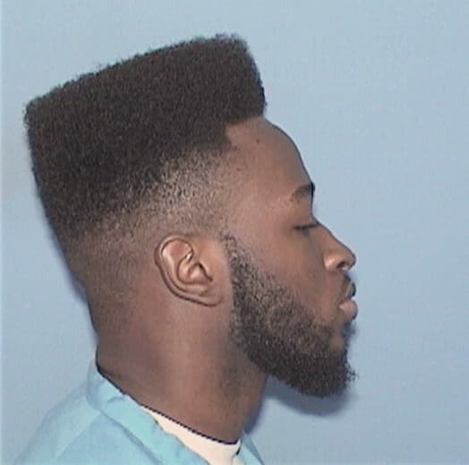 YOUNG, DEANGELO, Cook County  IL