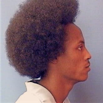 MINOR, WILLIE, Peoria County  IL