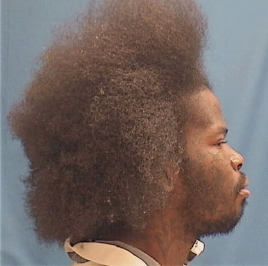 HOLMAN, GIOVANNI, Cook County  IL