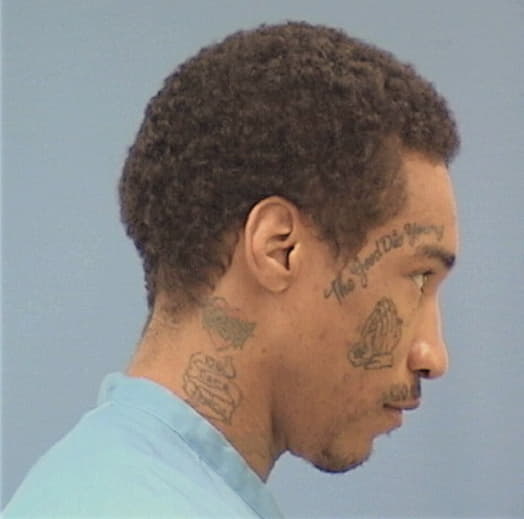 HORTON, REGINALD, Cook County  IL
