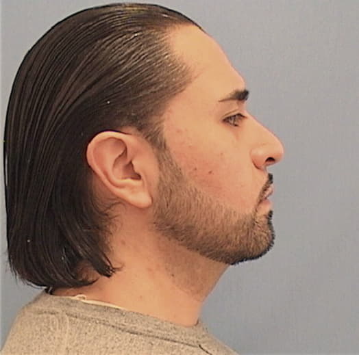 ESTRADA, FABIAN, Cook County  IL