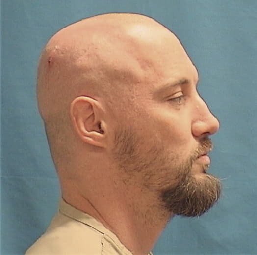 LOVELAND, ROBERT, Will County  IL