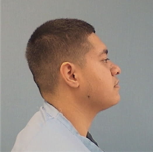 AVILA, IVAN, Cook County  IL