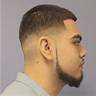 HERNANDEZ, MARIO, Cook County  IL