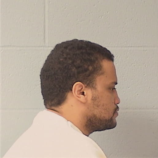 ANDERSON, WILLIAM, Cook County  IL