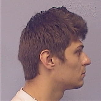 FIDOWICZ, DAVID, McHenry County  IL