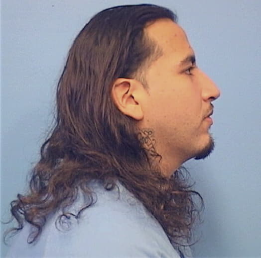 VENCES, SERGIO, Cook County  IL