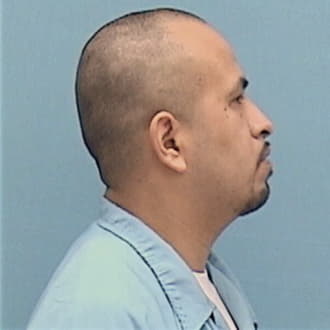 GUZMAN, JORGE, Kane County  IL
