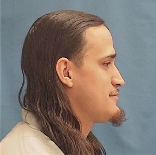 PEREZ, CHRISTOPHER, Cook County  IL