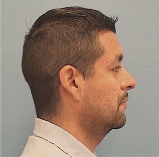 CASTILLO-CRUZ, ALEJANDRO, Lake County  IL
