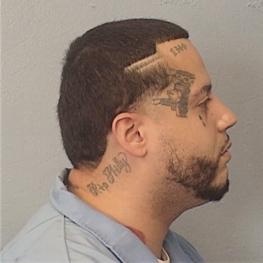 ALVARADO, JONATHAN, Cook County  IL