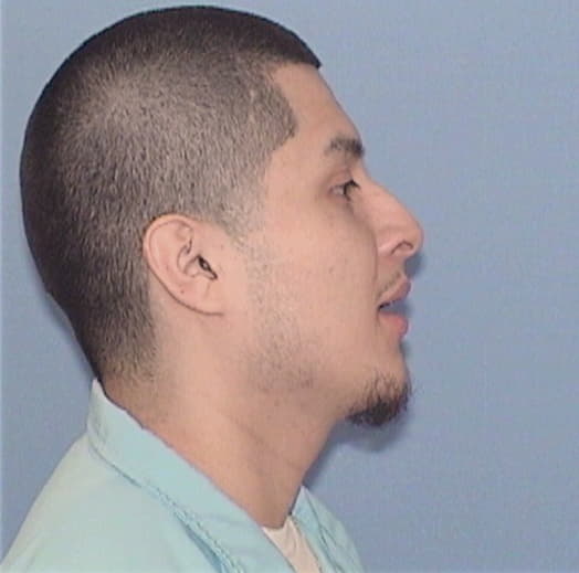 HERNANDEZ, JESUS M., Lake County  IL