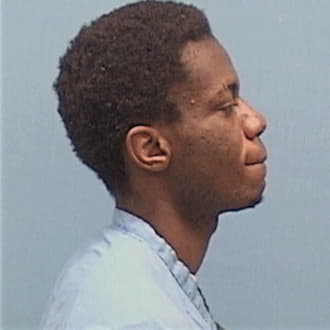 DELK, BOLAJI, Cook County  IL