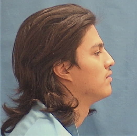RAMIREZ, SANTIAGO, Cook County  IL