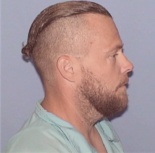 THELAN, JOHN A., Kane County  IL