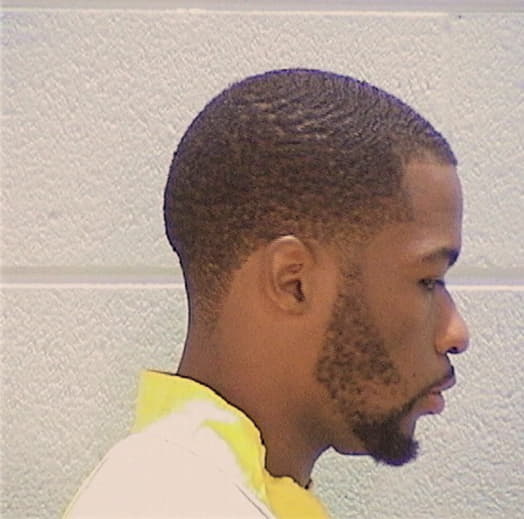 ANDERSON, SHAHUN, Cook County  IL
