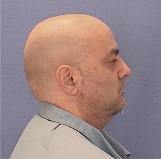 DOLBEARE, JAMES A. JR, Pike County  IL