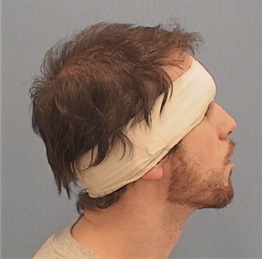 DAY, CHRISTOPHER A., Lake County  IL