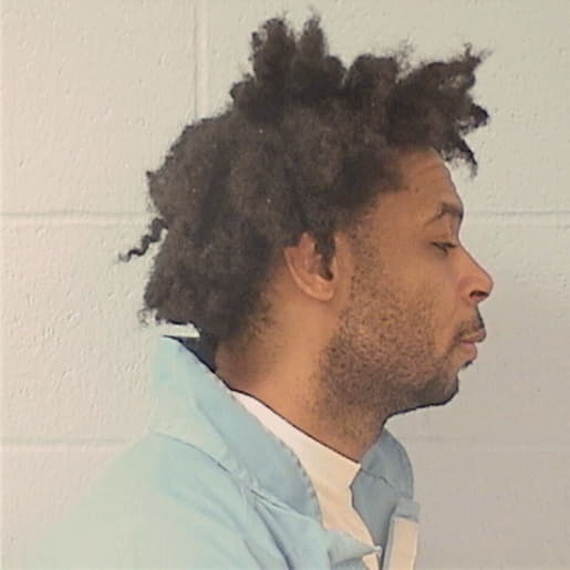 VINSON, TERRANCE A., Williamson County  IL