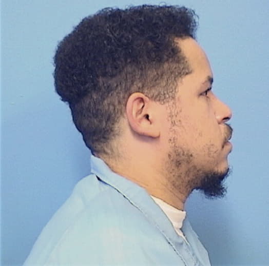 CARMICHAEL, JEFFREY A., Will County  IL