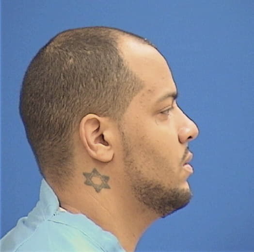 IRVIN, DAKOTA, Kane County  IL