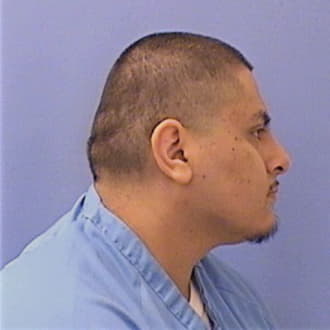 GUZMAN, ARMANDO, DuPage County  IL
