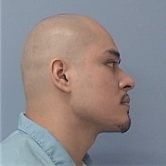 DIAZ, EDGAR C., Lake County  IL