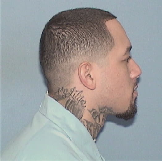 MARTINEZ, RICARDO, Cook County  IL