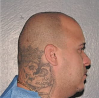 DEJESUS, REINALDO, Cook County  IL