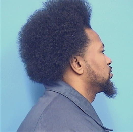 FREEMAN, DAVID L., McHenry County  IL