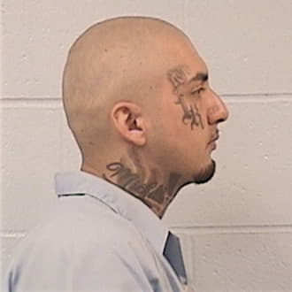 HERNANDEZ, JAMES, DuPage County  IL